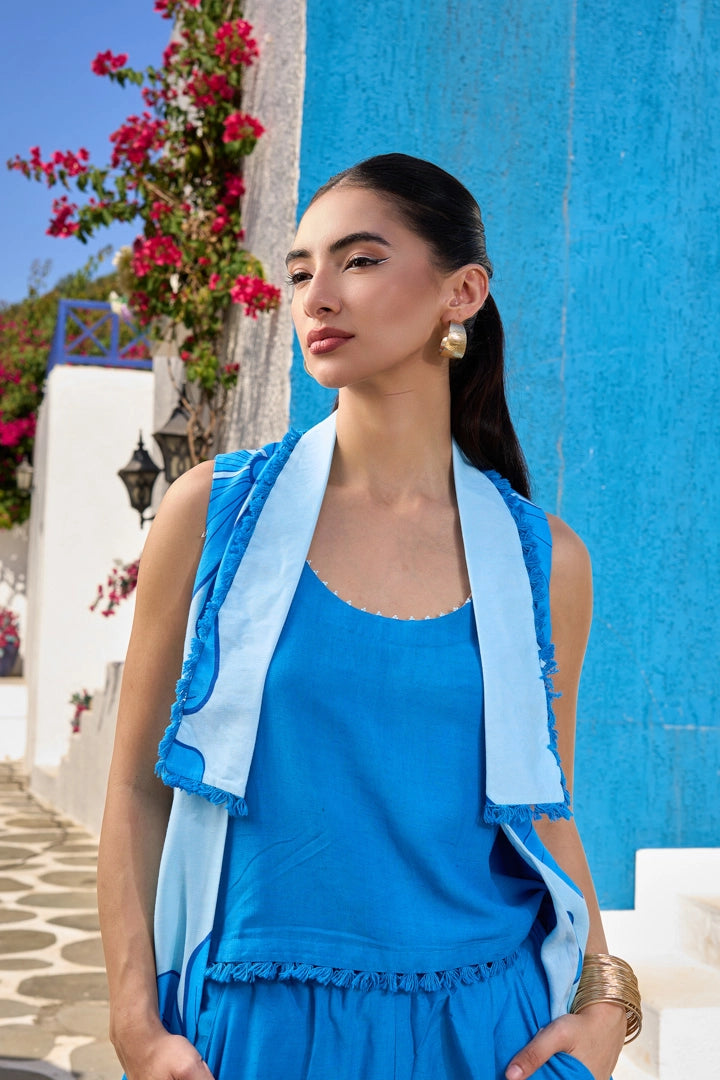 Azure Hibiscus Ensemble