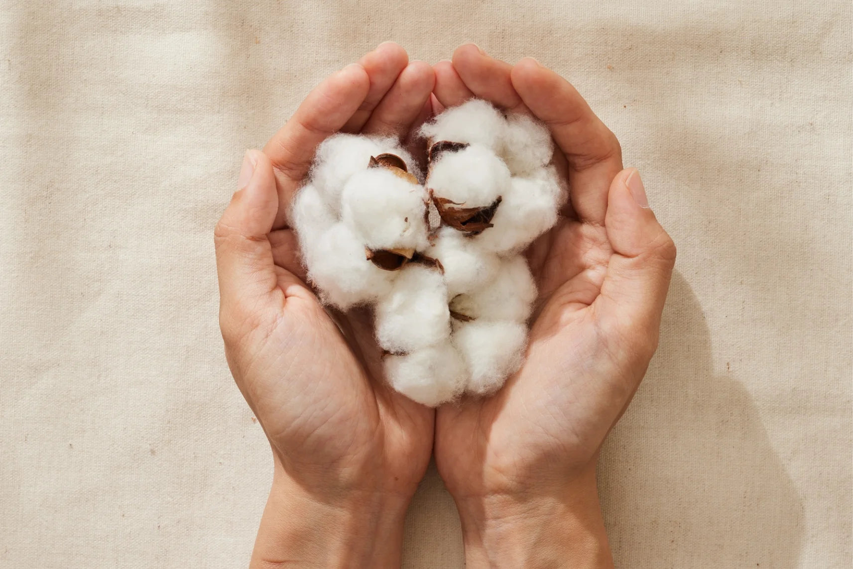 Regenerative cotton fabric at MAGS